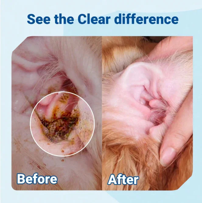 Gentle Pet Ear Wash | Odor-Free Cleaning for Dogs &amp; Cats🌿