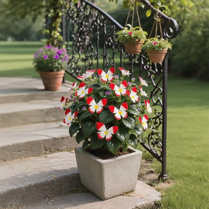 🦋 Whimsical Butterfly Shaped Flower Seeds ✨