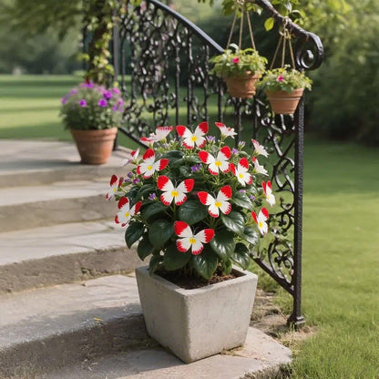 🦋 Whimsical Butterfly Shaped Flower Seeds ✨